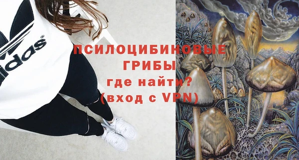 стаф Усинск