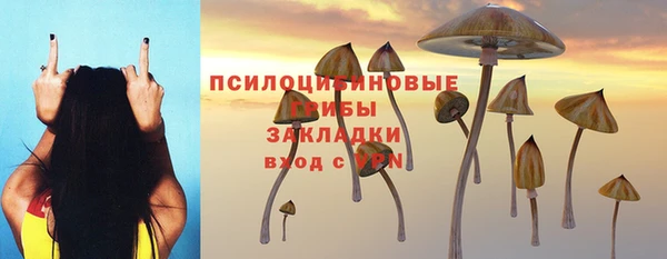 гидра Кулебаки