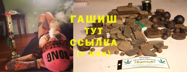 гидра Кулебаки