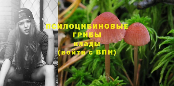 марки nbome Костерёво
