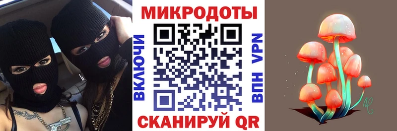 blacksprut сайт  Терек  Галлюциногенные грибы Psilocybe  дарк нет клад  закладки 